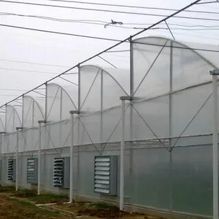 تصویر 2 از خرید و قیمت پلاستیک گلخانه مشهد عرض 14 متر + فروش بی‌ واسطه از کارخانه